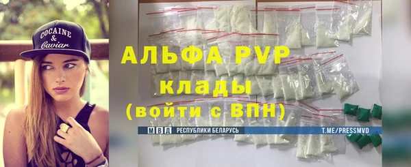 шишки Алзамай
