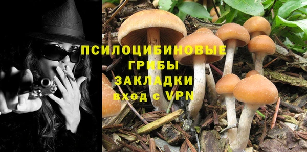 ГАЛЛЮЦИНОГЕННЫЕ ГРИБЫ Алексин