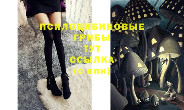 ГАЛЛЮЦИНОГЕННЫЕ ГРИБЫ Алексин