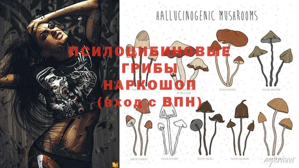 MESCALINE Алексеевка