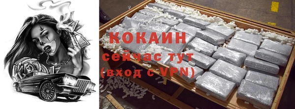 шишки Алзамай