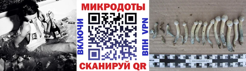 Купить закладки  Сорочинск  Галлюциногенные грибы мухоморы 