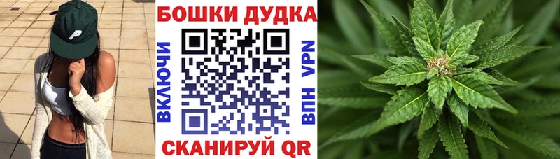 Купить закладки  Сорочинск  МАРИХУАНА White Widow 